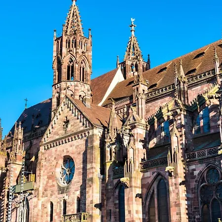 Ferienwohnung Muenster, Sehr Zentral Freiburg im Breisgau Exterior foto